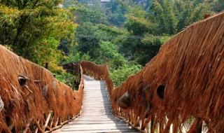 西双版纳旅游线路